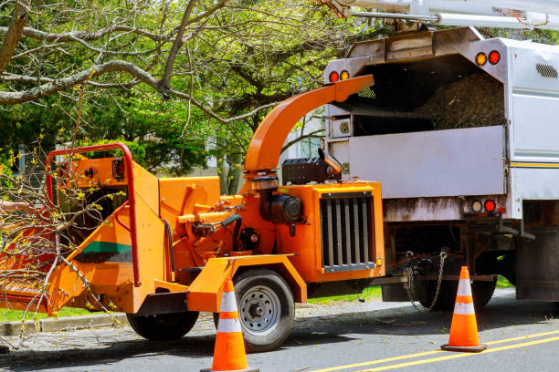 Best Firewood Processing and Delivery  in Mapleton, UT